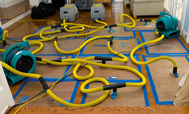 Professional Sewage Cleanup technician working in Graham, NC